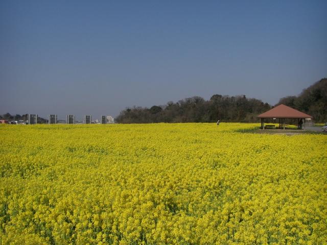 西郷川花園