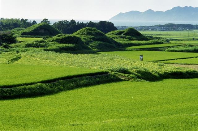 新原・奴山古墳群（しんばる・ぬやまこふんぐん）