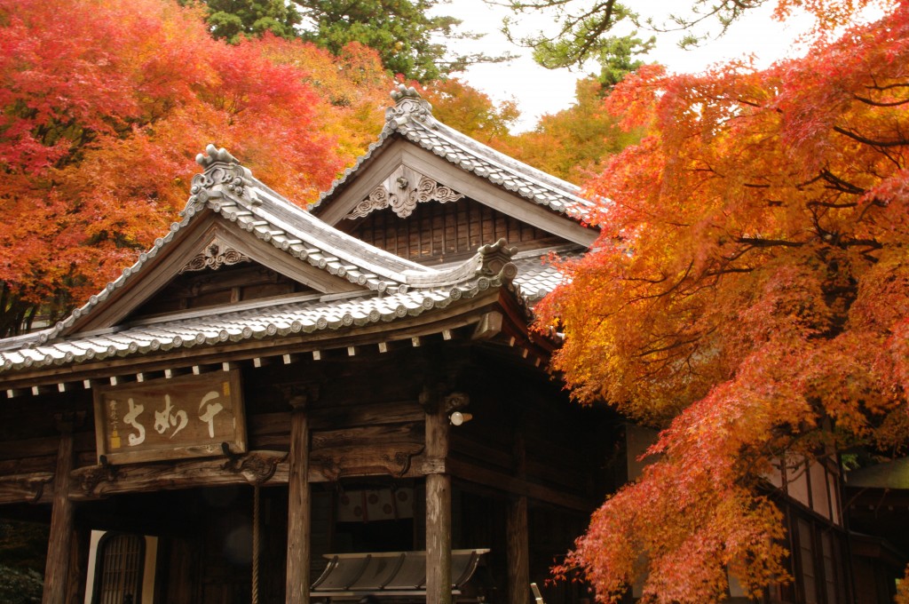 雷山千如寺大悲王院