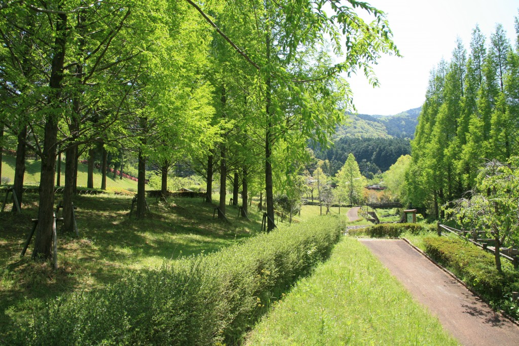 ほたるの里（本木川自然公園）