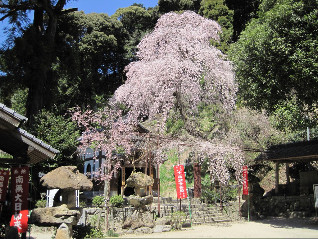 左谷山建正寺