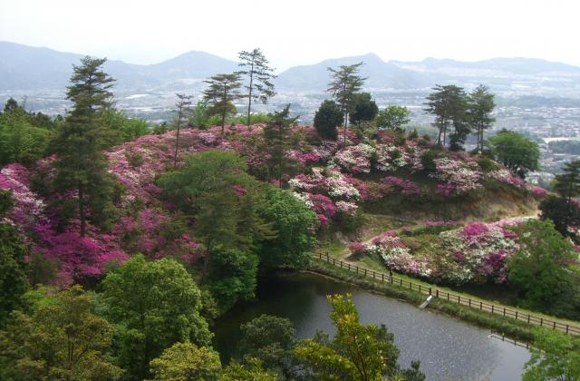 皿山公園