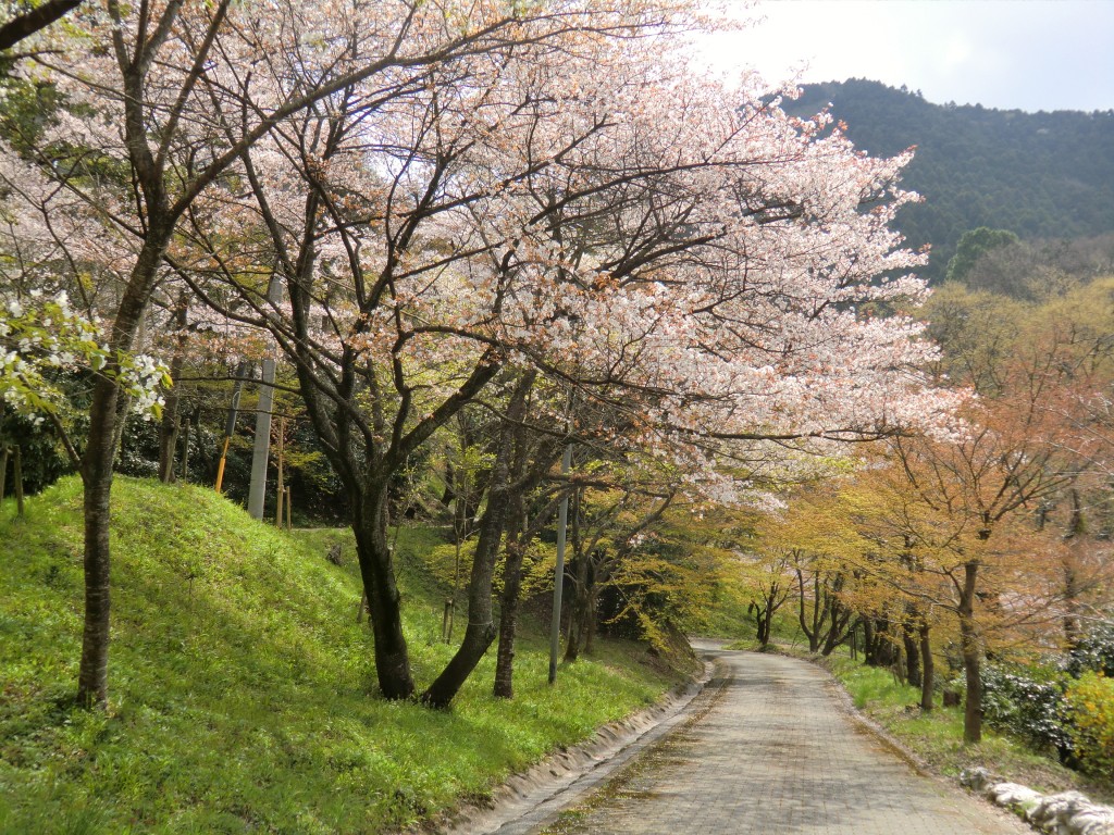 新吉野公園