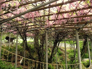 鶴形山公園