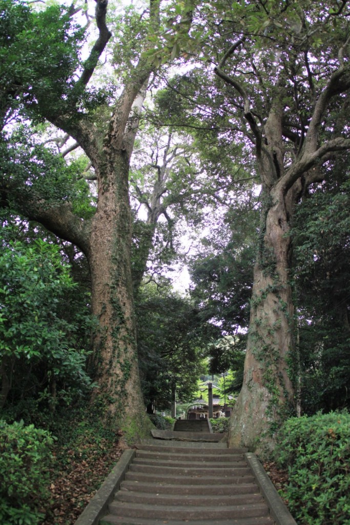 小山田斎宮